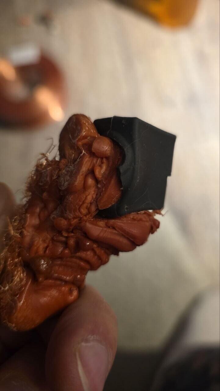 Anycubic kobra 1s combo 