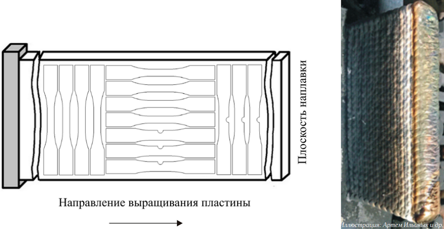 Пермские ученые исследовали сопротивление 3D-печатных деталей механической усталости