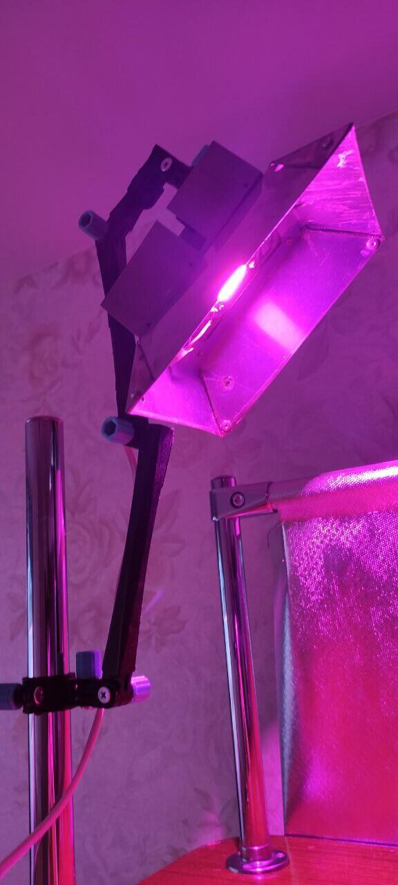 Сынок, а помоги ка матери в посадках