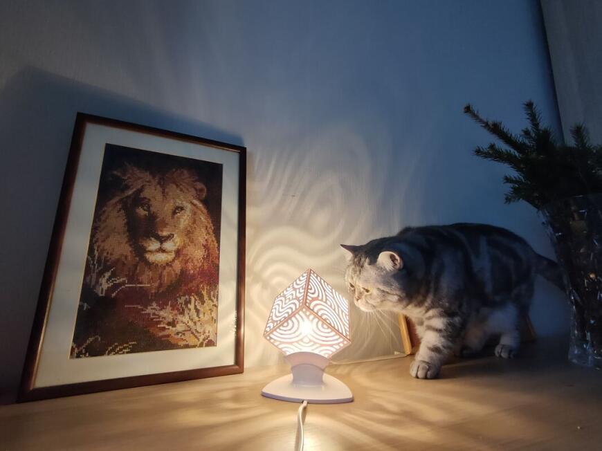 Свет и тень