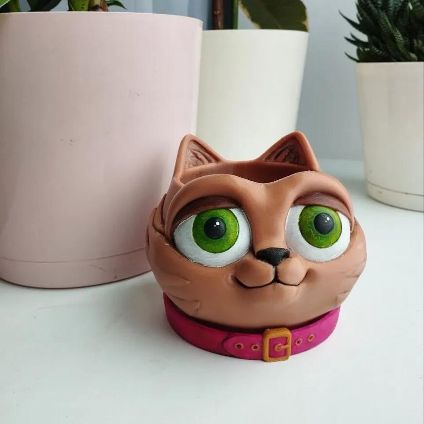 Кошкогоршок Кошкогоршок