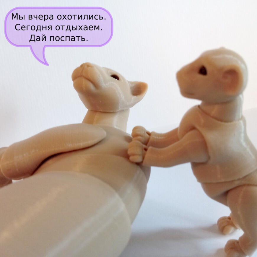 В мире животных