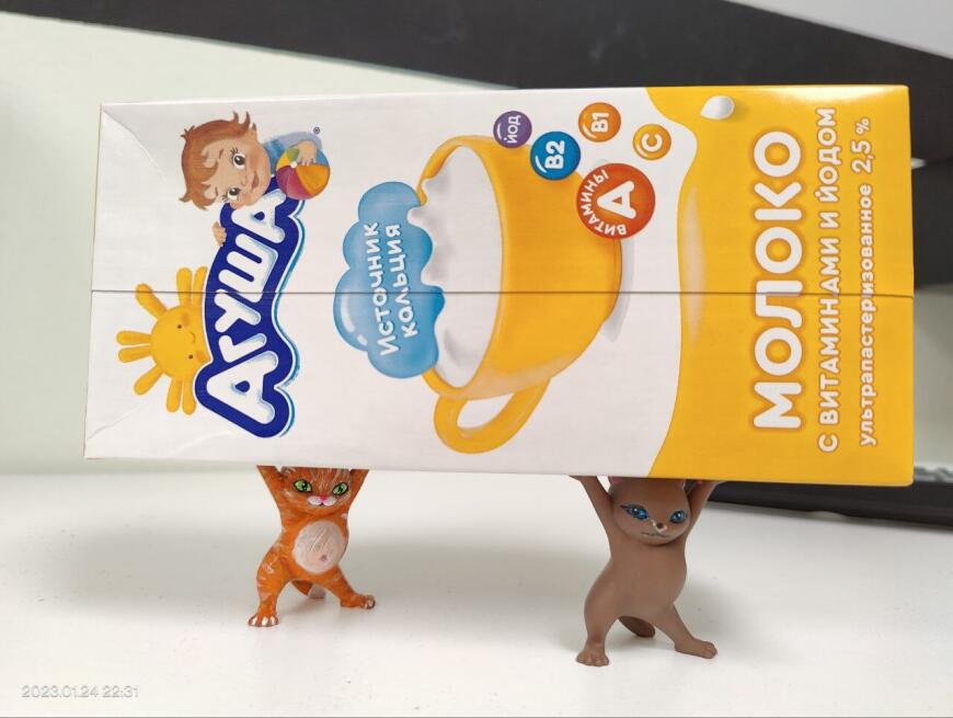 Просто котики