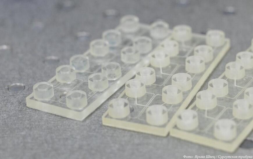 Сургутские ученые создают микрокапсулы из северных растений