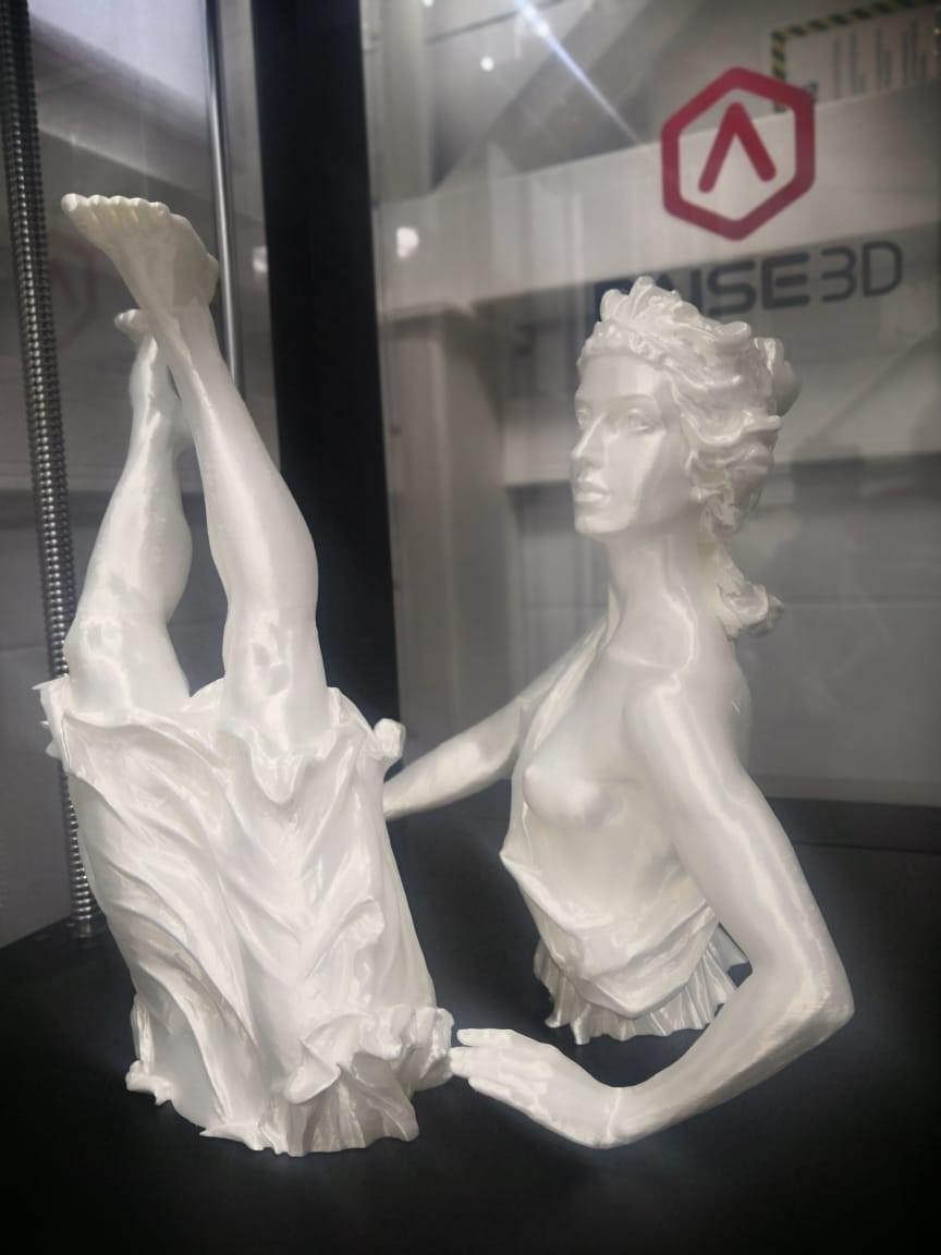 Применение 3D принтера в реальном бизнесе. Raise3D PRO2 . Обзор от 3Dtool.