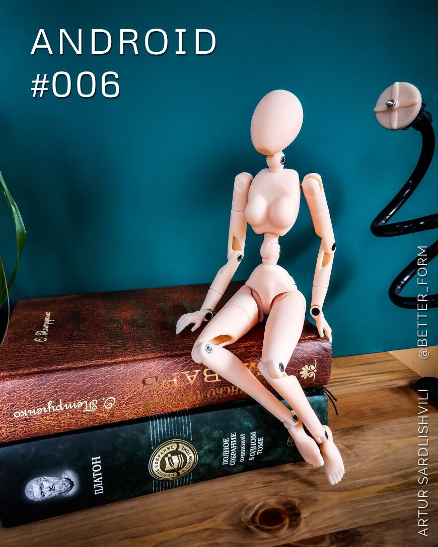 Манекен номер 006