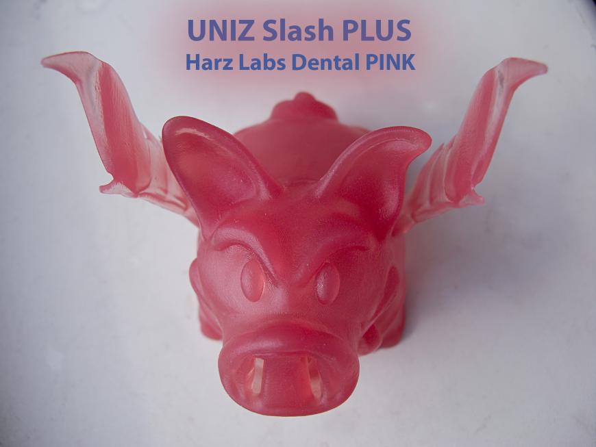 Свинка-копилка из розового стоматологического на UNIZ Slash PLUS