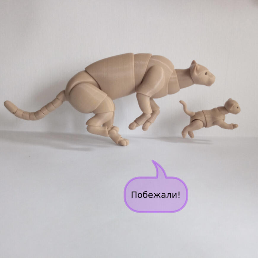 В мире животных