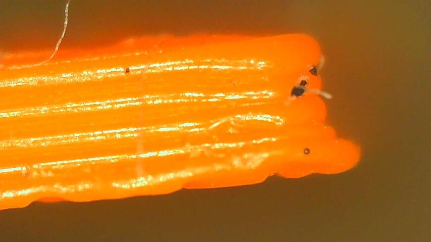 Проблема со слоновьей ногой