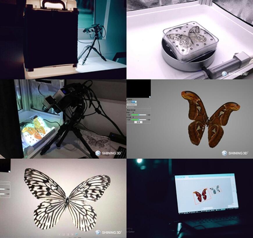 3D-сканирование и 3D-печать в создании инсталляции «Неестественный отбор»