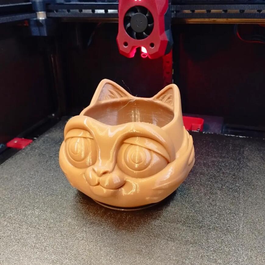 Кошкогоршок Кошкогоршок