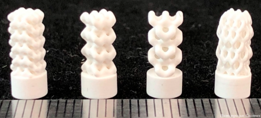 Ученые Сколтеха представили новый метод проектирования 3D-печатных костных имплантатов