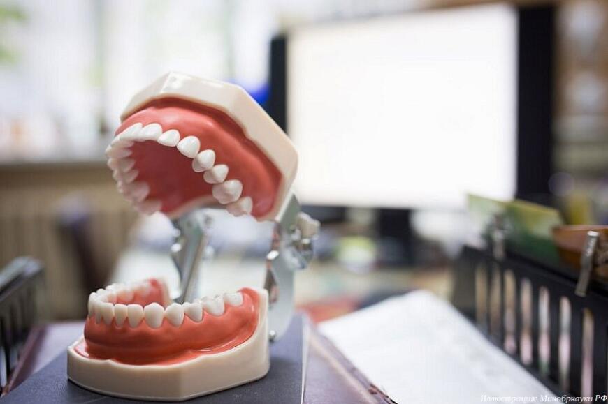 Разработка ПГУ поможет создавать цифровые модели нёба и 3D-печатные датчики для диагностики челюстно-лицевых патологий
