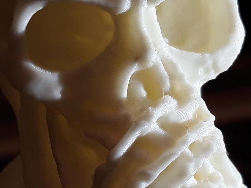 Вижу Слышу Скажу Черепушки