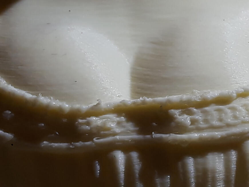 Mona Lisa FDM Mona Lisa FDM