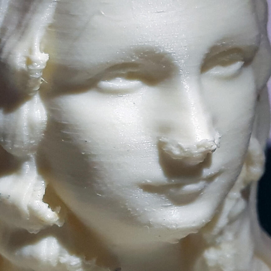 Mona Lisa FDM Mona Lisa FDM