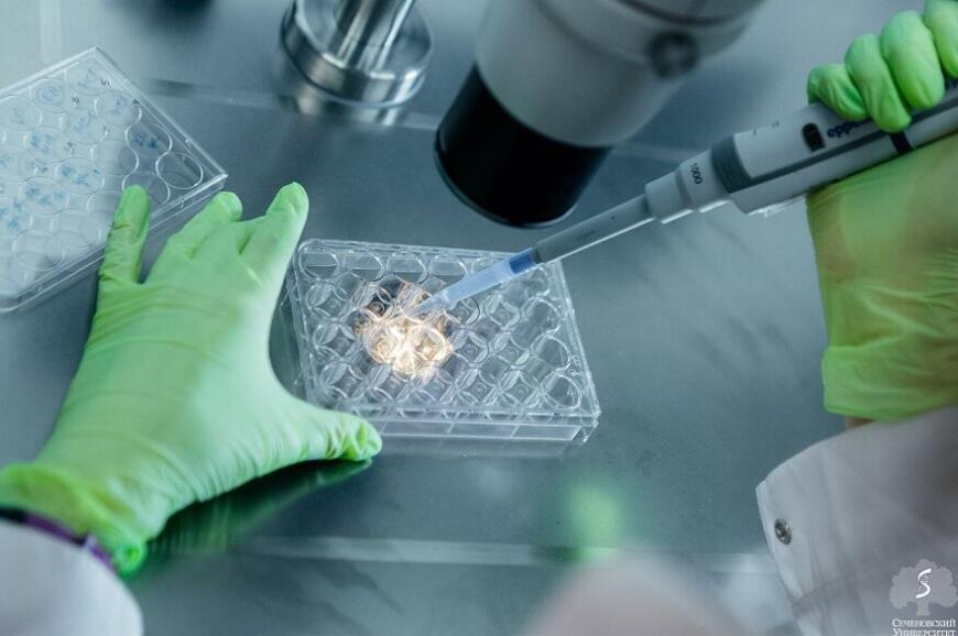 В Сеченовском университете работают над 3D-печатью человеческих тканей