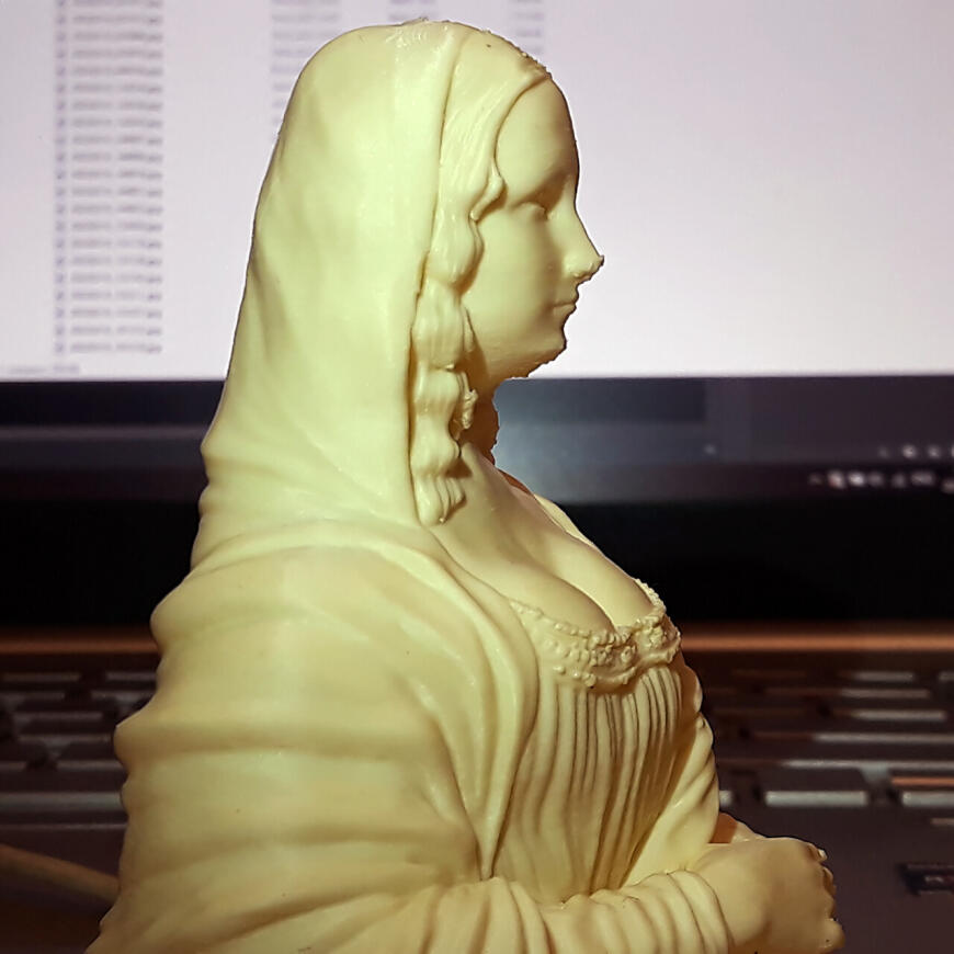 Mona Lisa FDM Mona Lisa FDM