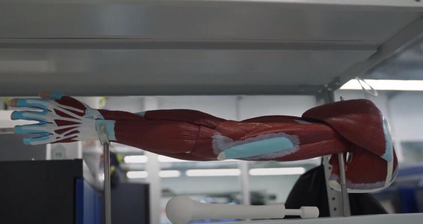 Изготовить индивидуальный бионические протезы и активировать киборгов: какую роль в этом играет 3D-сканирование?