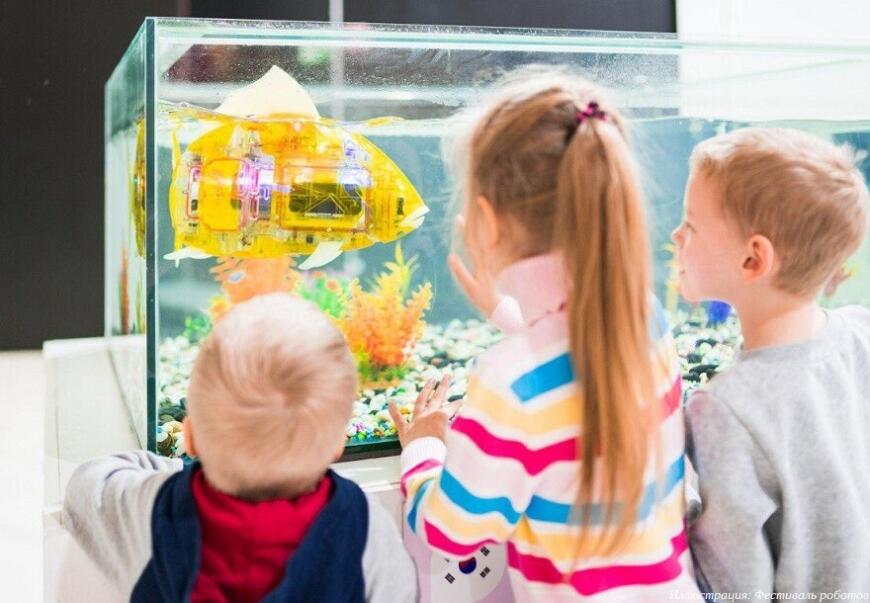 В Чебоксарах пройдет интерактивный «Фестиваль роботов» В Чебоксарах пройдет интерактивный «Фестиваль роботов»