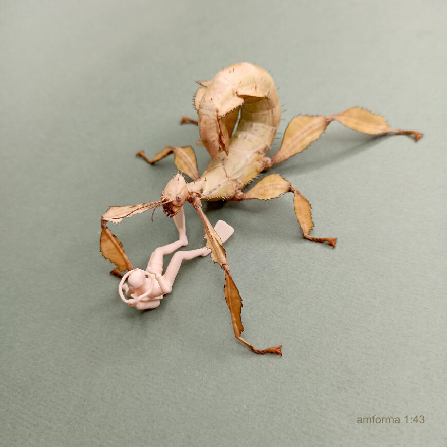 Опасный дайвинг.