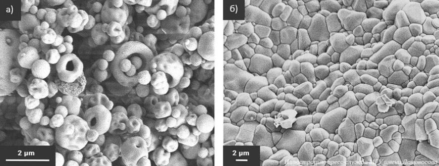 Российские ученые разработали керамические материалы для восстановления костных тканей