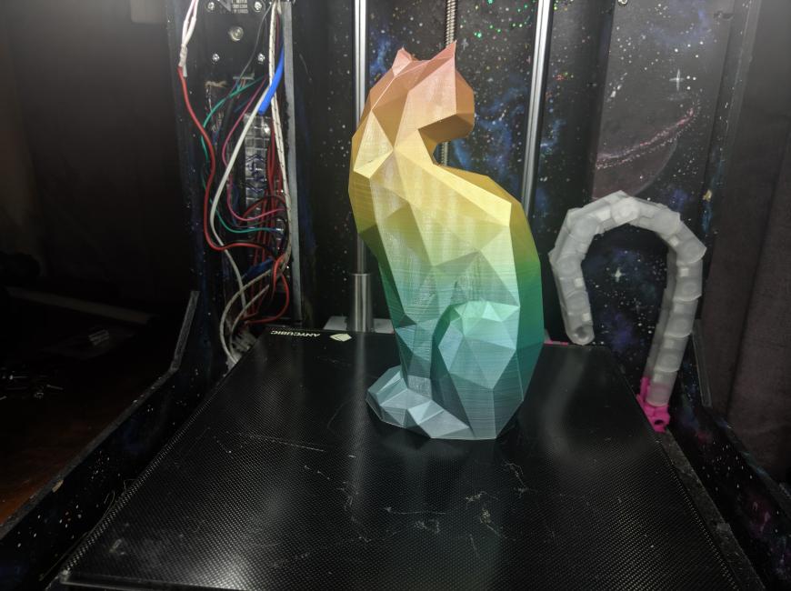 Радужная кошка