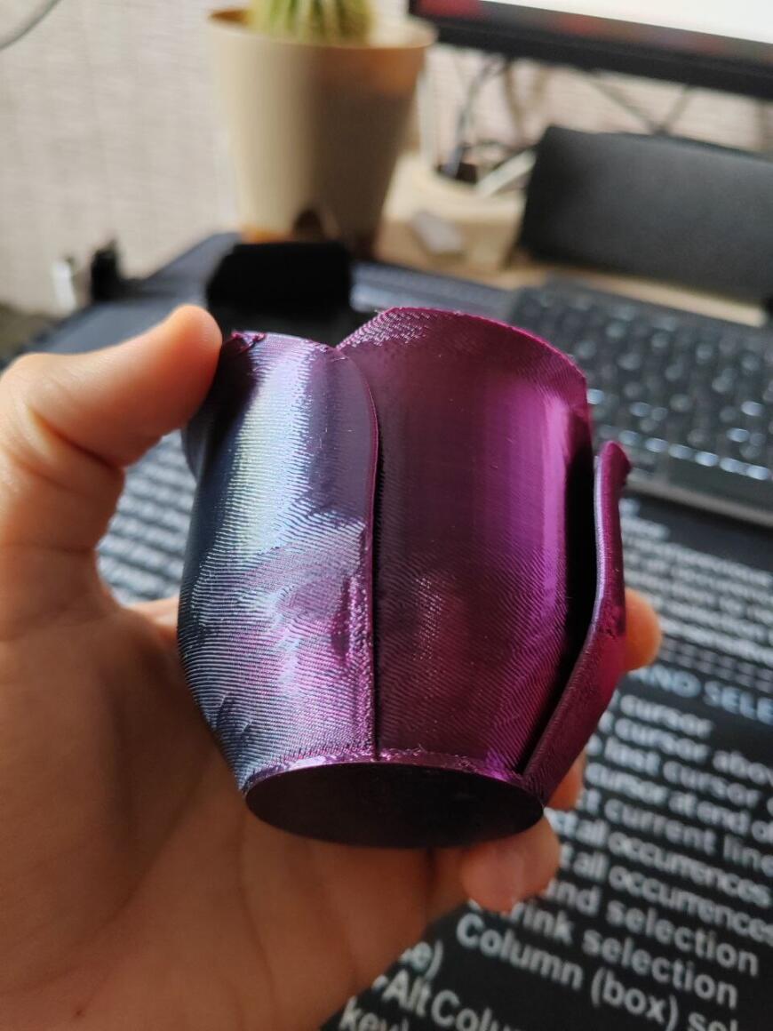 FLSUN SR нечеткие контуры модели