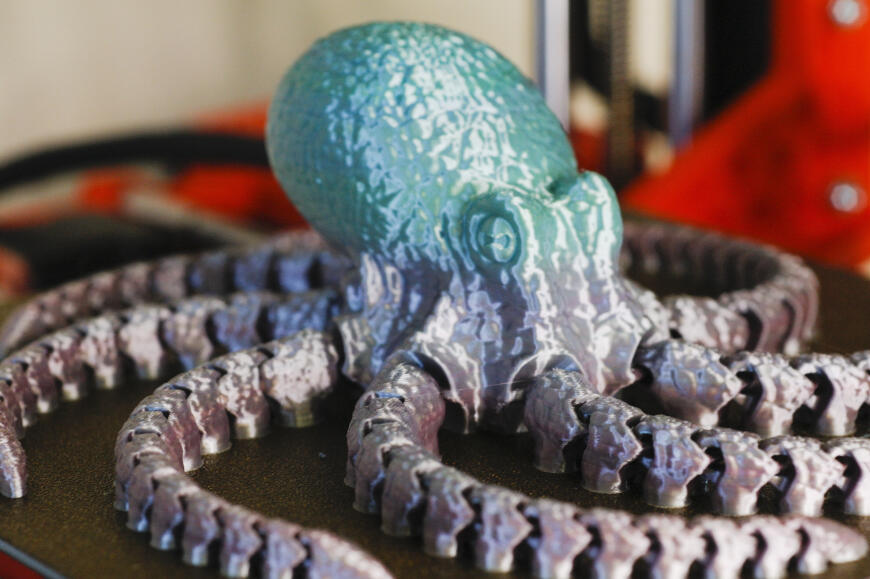 Разноцветный осьминог