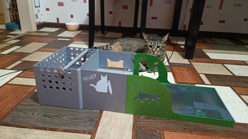 Электронная кормушка для кота в двух актах Электронная кормушка для кота в двух актах