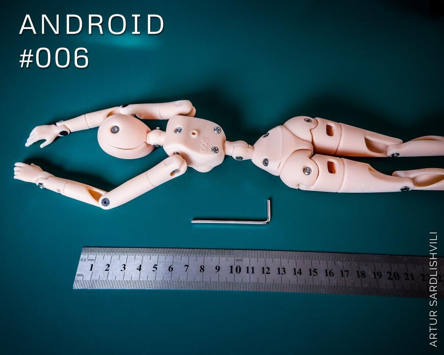 Манекен номер 006