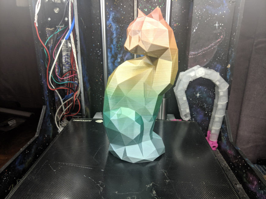 Радужная кошка