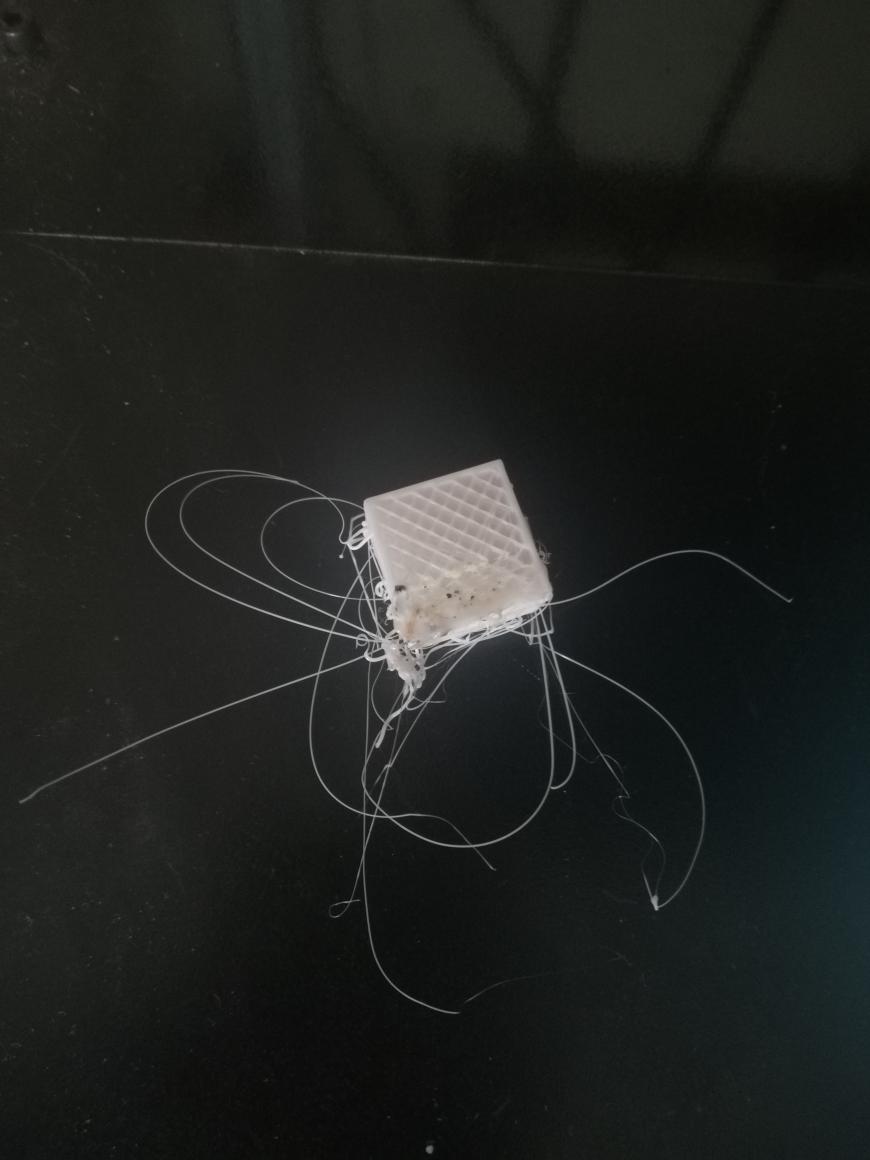 My3D (MKS Robin Lite) Отъезжает, делает волосы, наматывает