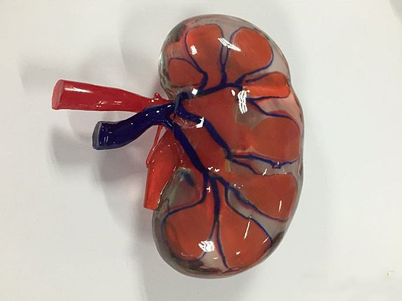 Инновации для науки и производства: 3D принтеры BJ-TECH