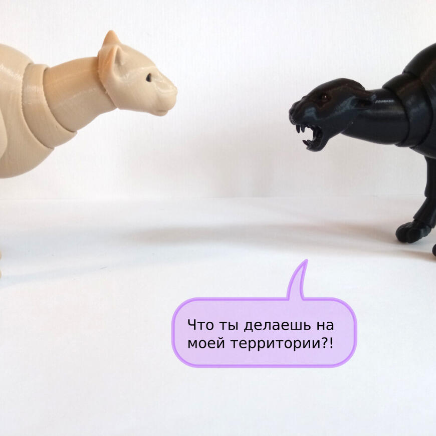 В мире животных