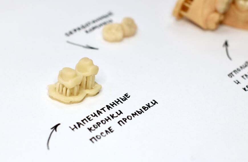 Печать постоянных коронок с Formlabs Permanent Crown Resin Печать постоянных коронок с Formlabs Permanent Crown Resin