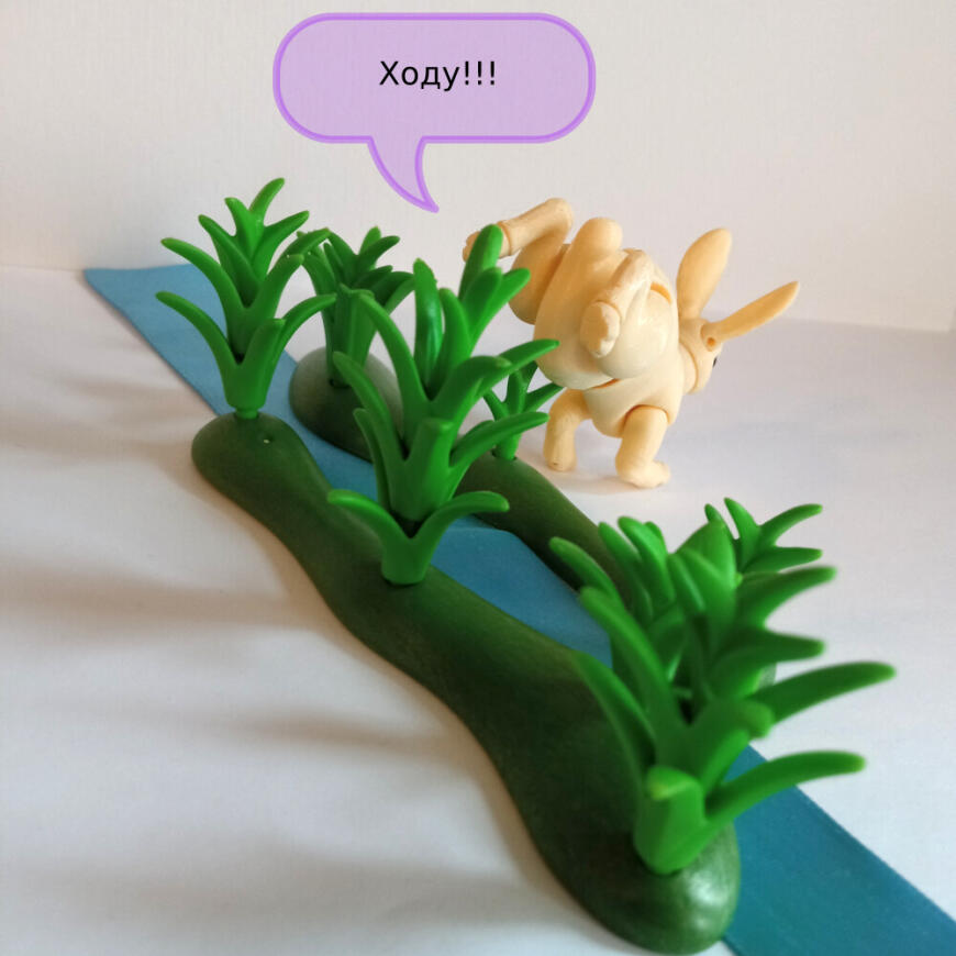 В мире животных