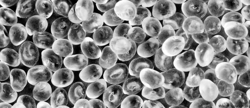 NatureWorks построит новый завод по производству ПЛА-пластика в Таиланде