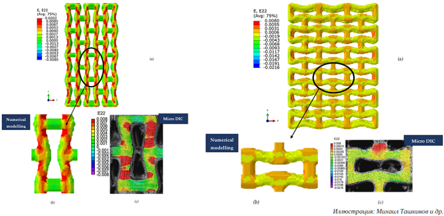 Пермские ученые исследуют 3D-печать «растущих» протезов
