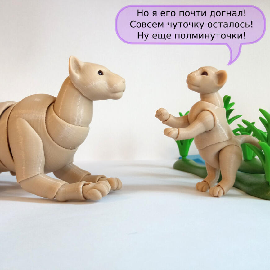 В мире животных