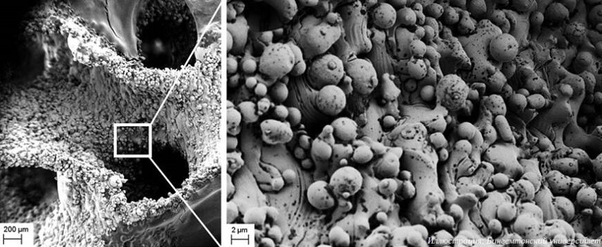 Американские ученые создали электрические батареи с бактериями Американские ученые создали электрические батареи с бактериями