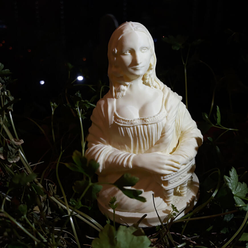 Mona Lisa FDM Mona Lisa FDM