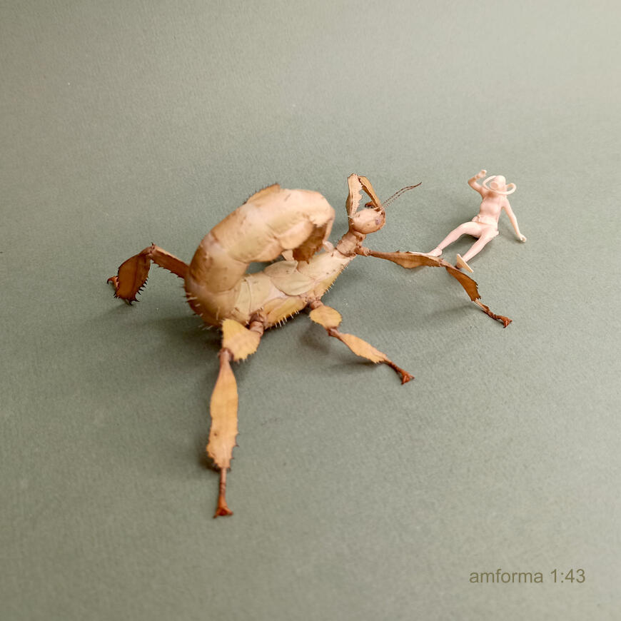 Опасный дайвинг.