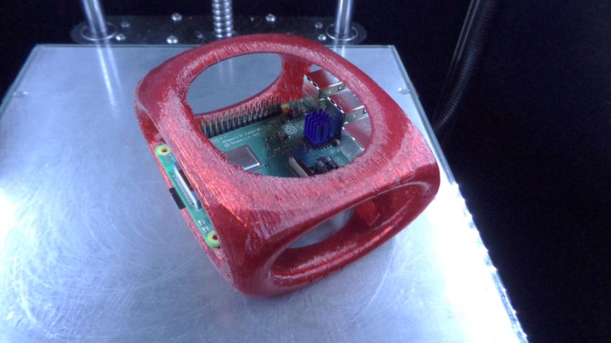 "Кабинка" для малинки (на стол).