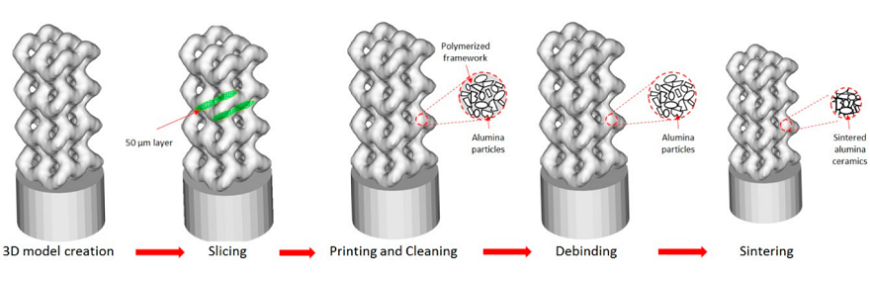 Ученые Сколтеха представили новый метод проектирования 3D-печатных костных имплантатов