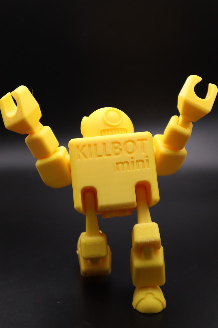 Killbot на Raise3D Pro2