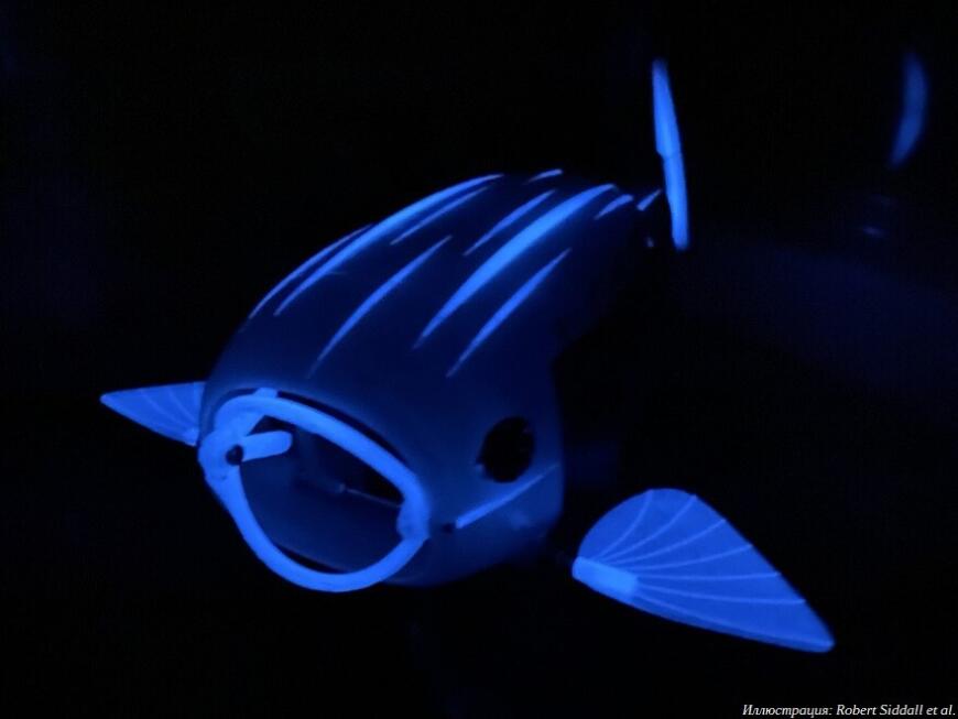 В Университете Суррея сконструировали 3D-печатную роборыбу для сбора микропластика