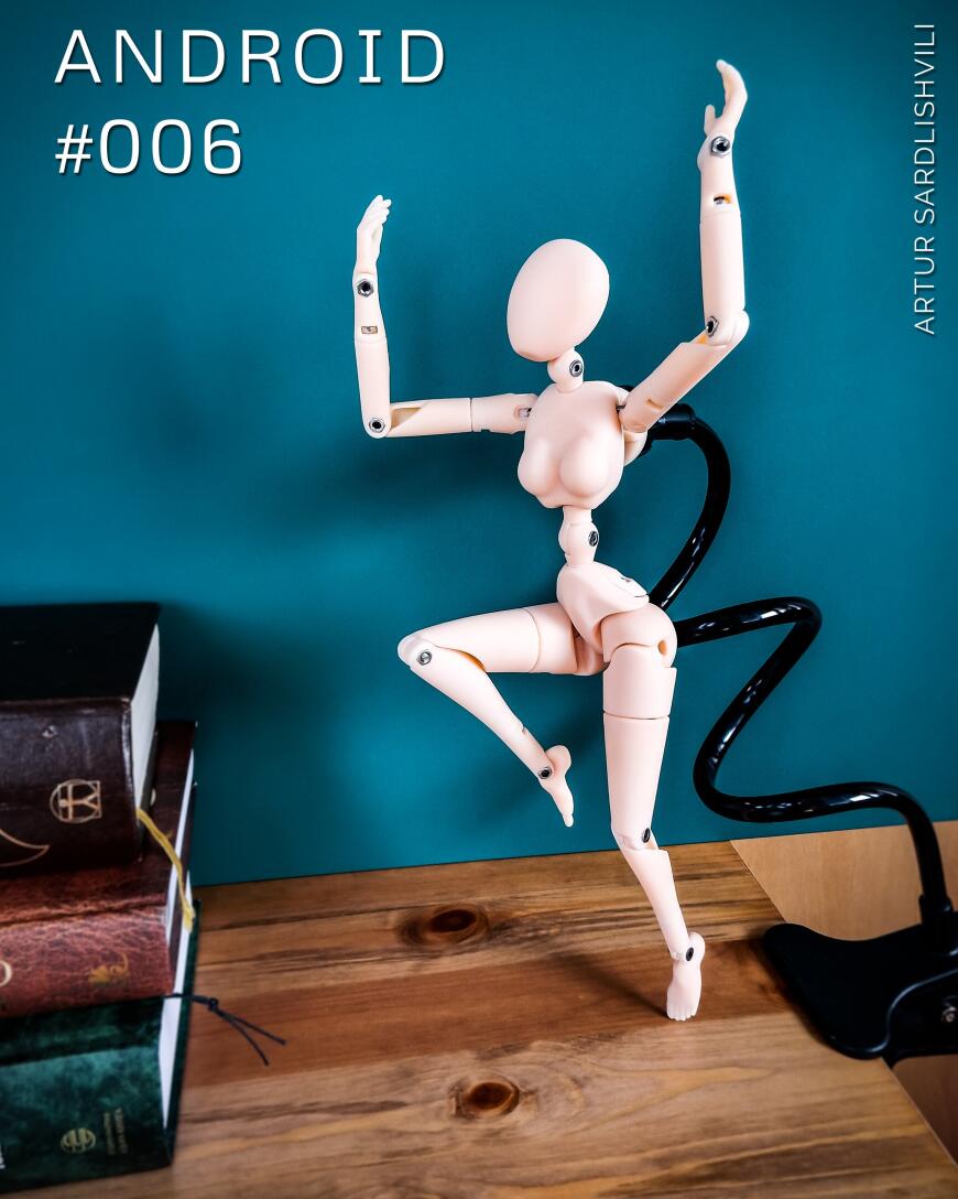 Манекен номер 006