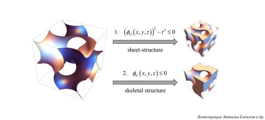 Ученые ПНИПУ разработали цифровой конструктор для создания костных имплантатов Ученые ПНИПУ разработали цифровой конструктор для создания костных имплантатов