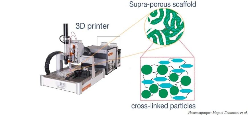 Химики СПбГУ исследовали 3D-печать имплантатов наночастицами